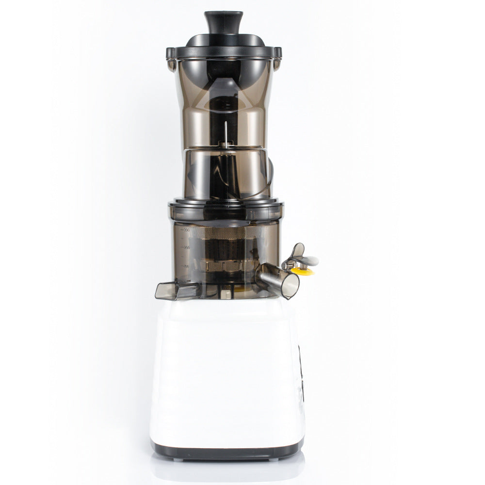 RAF Stainless Steel Juicer Juicer Extractor for Children's Fruit Juice/l Cooking Machine R.2705
