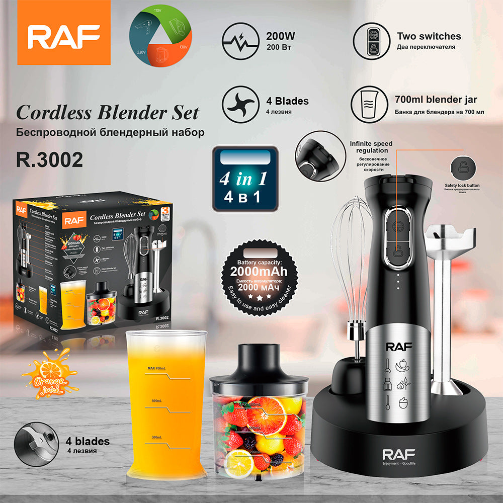 RAF EU Standard Portable Household Handheld Electric Stainless Steel Food Mixer Cooking Stick Blender300