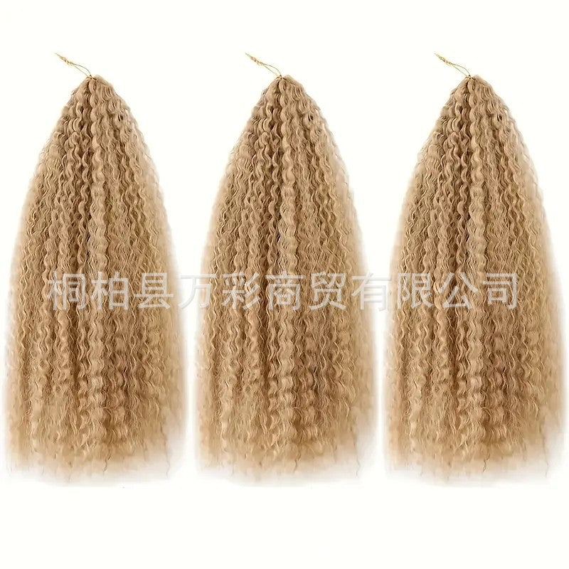 Cross-border Wig Hot Item Afro Kinky Curly       Crochet  Hair High Temperature Silk Crochet Hair