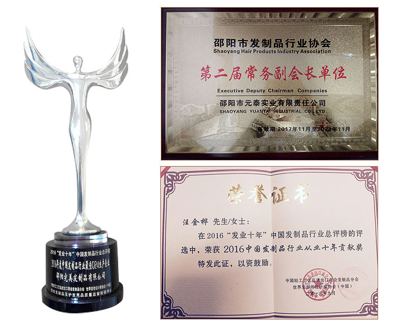 Knotless Box Braided Wigs with Curly Ends Synthetic Lace Wig