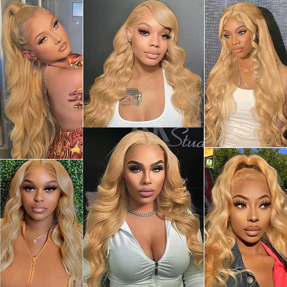Highlight Ombre Lace Front Wig 13x6 Wavy Lace Glueless Wig