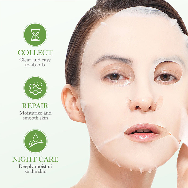 Plant Enzyme Mask25gBIOAOUA Hydrating and Moisturizing Tablets for Cross-Border Wholesale
