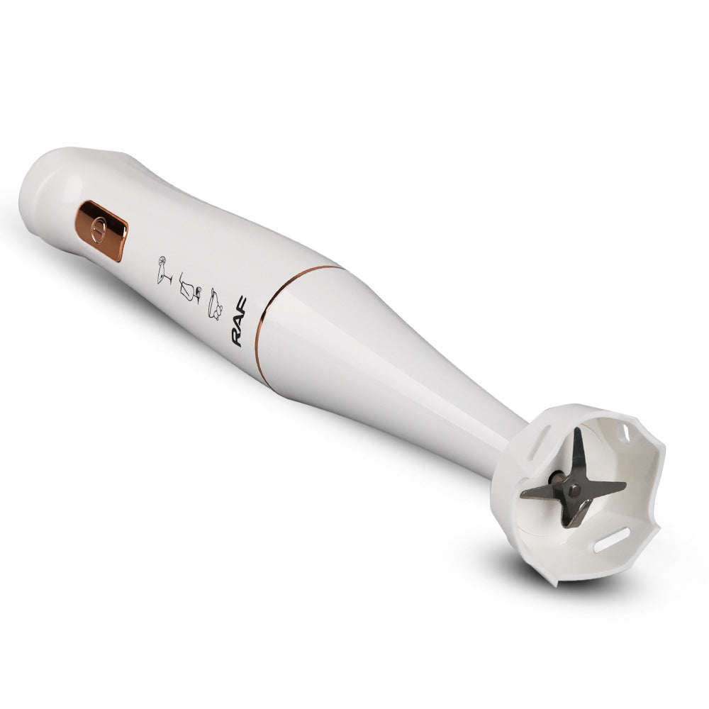 European Standard Fruit Juicer Food Processor Kitchen Small Appliance Multifunctional Electric Mixer Single Stick