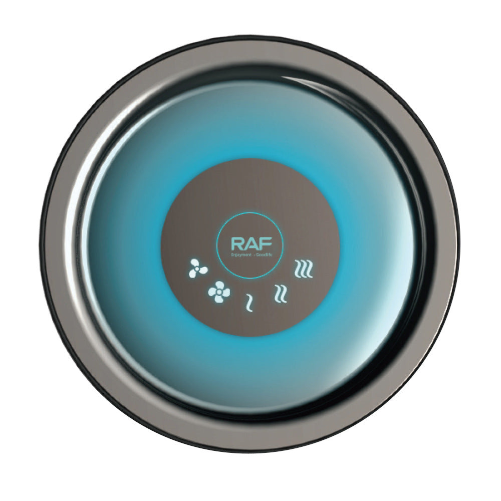 RAF European standard intelligent temperature control high-power high-speed hair dryer for home use Quick-Dry Hair Care Negative Ion R407