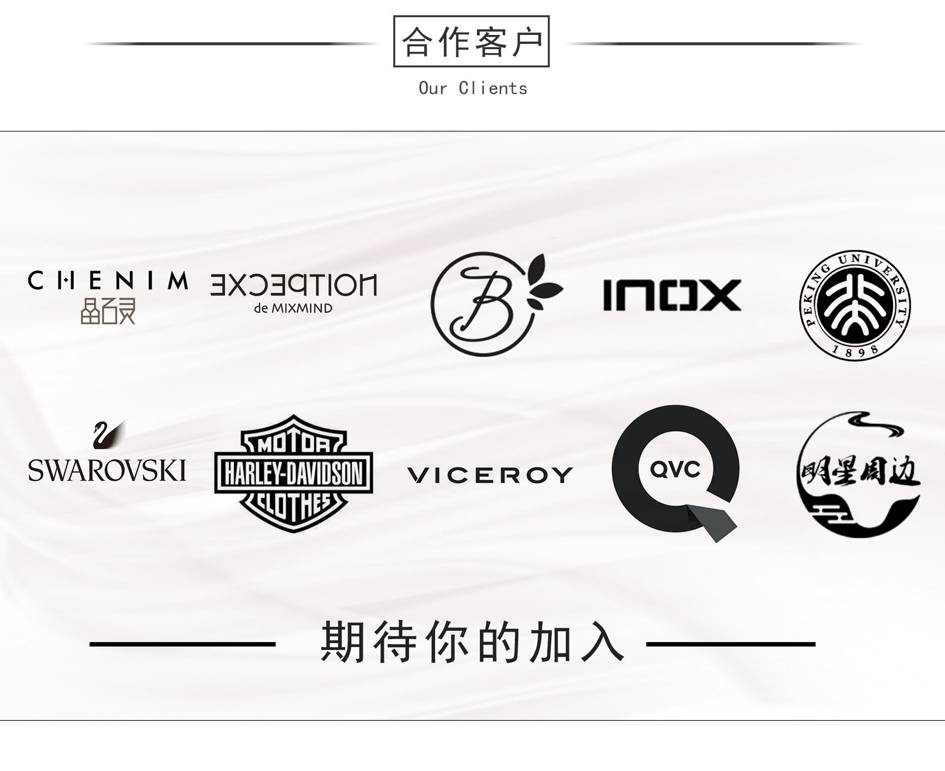 In Stock Stainless Steel Feather Personality Simple Necklace Niche ins Clavicle Chain Sweater Chain Titanium Steel Pendant