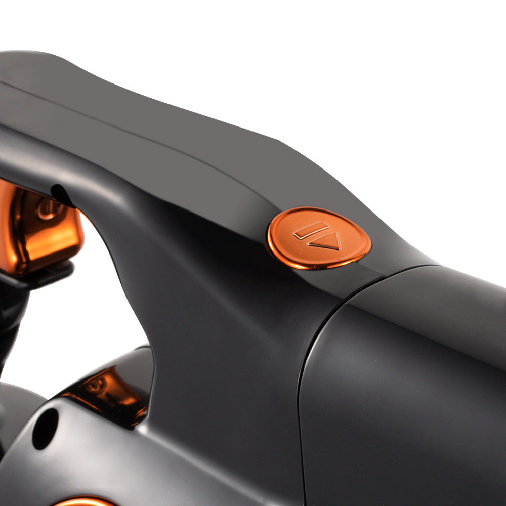 RAF European Standard Corded Vacuum Cleaner for Home Use, Handheld, High Power Suction Portable 2-in-1 High Suction Household