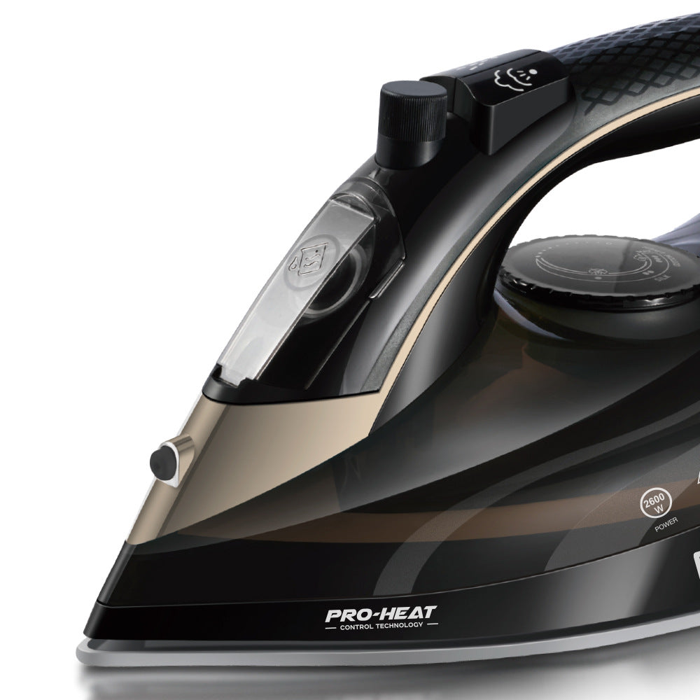 RAF European standard dry and wet dual-use steam iron for home use Handheld Ironing Electric Iron Portable Garment Steamer R.1321