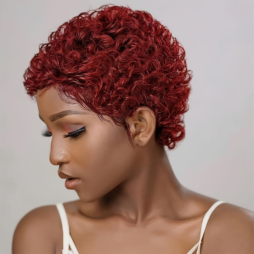 Black Women's Real Hair Wig Short Curly Wool Curl Wig