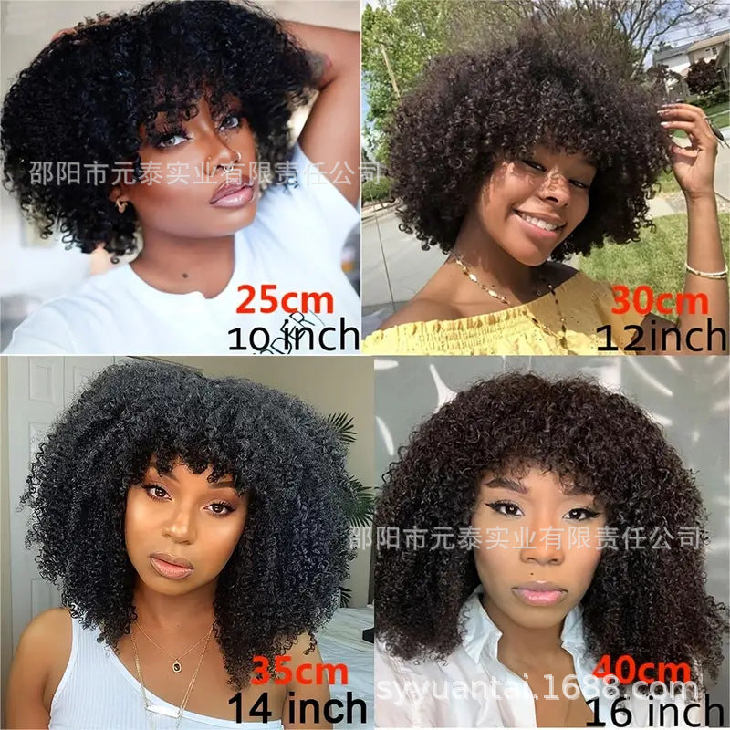 Kinky Curly  Wigs With Bangs None Lace Human Hair Wigs