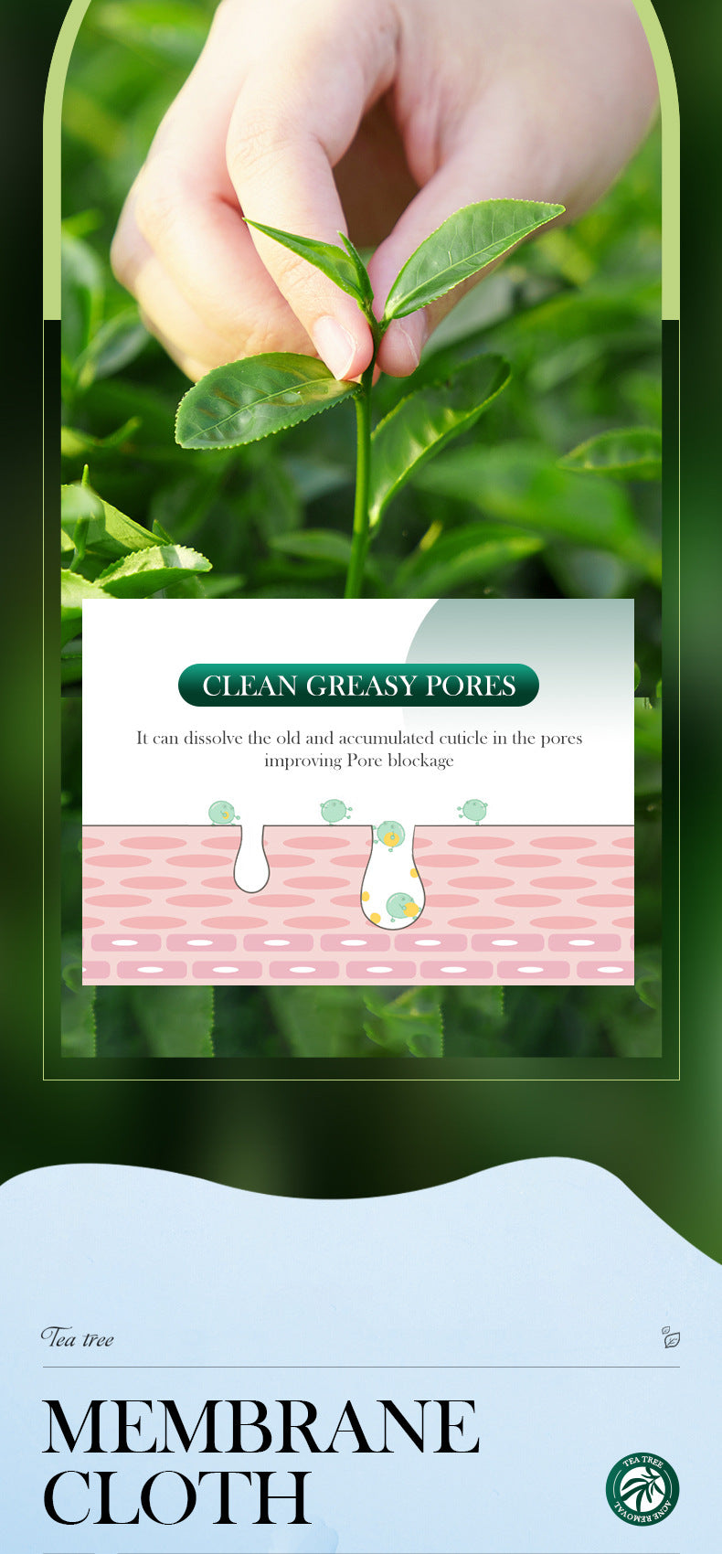 Tea Tree Facial Mask25g SADOER Refreshing Moisturizing Tablets for  Wholesale