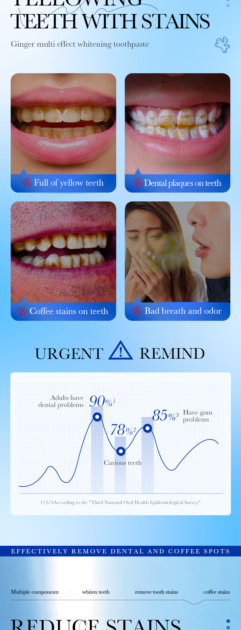 Mint Toothpaste100gSADOER Propolis Sea Salt Ginger Cleans Tartar Strengthens Teeth  Wholesale