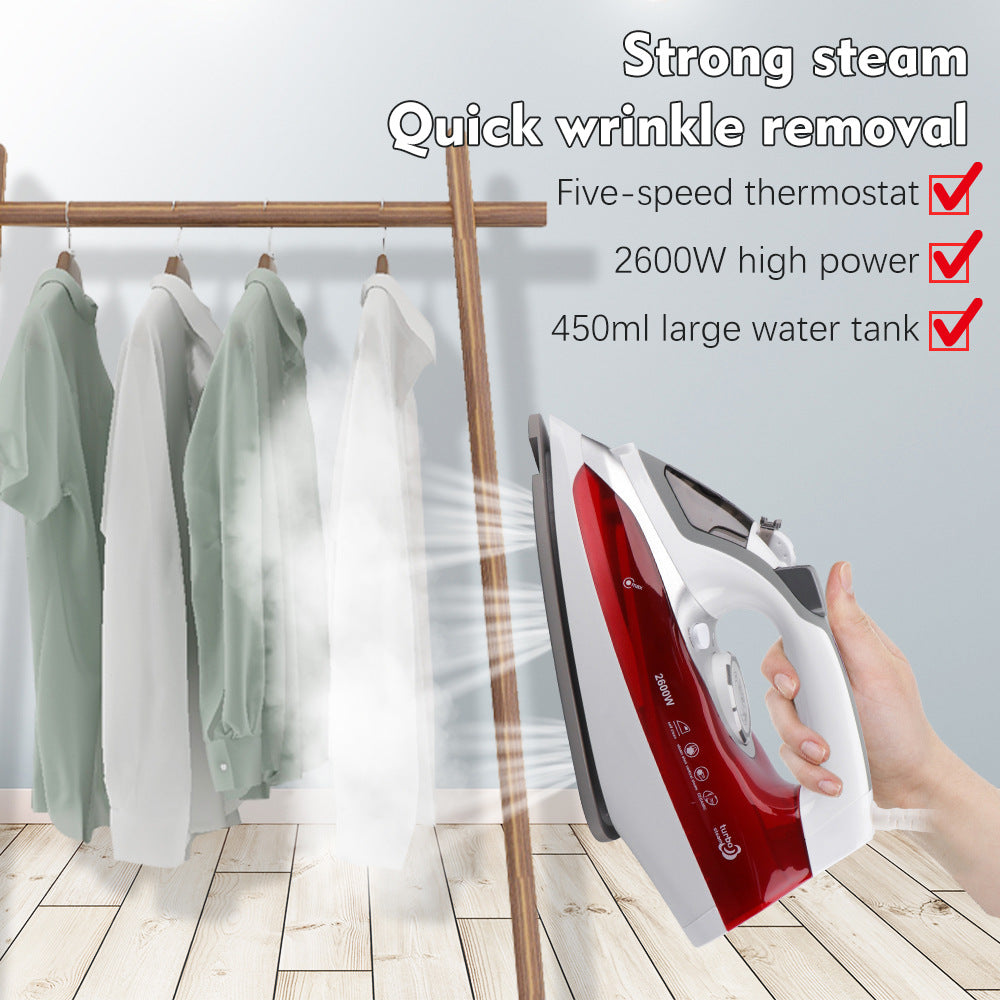 European Standard Household Steam Electric Iron Handheld Mini Garment Steamer Small Portable Ironing Machine R.1243