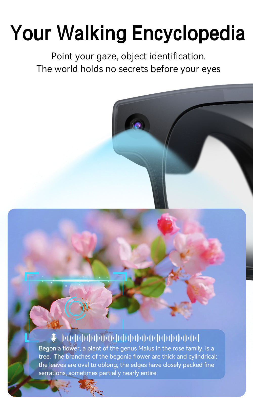 AIMB-G2Smart Glasses800100 Megapixel Camera Ai Translation Character Recognition1200P Anti-Shake Video Recording