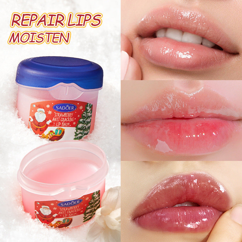 Christmas Hand Cream Lip Balm Combo Set SADOER Anti-chapping Moisturizing  Wholesale