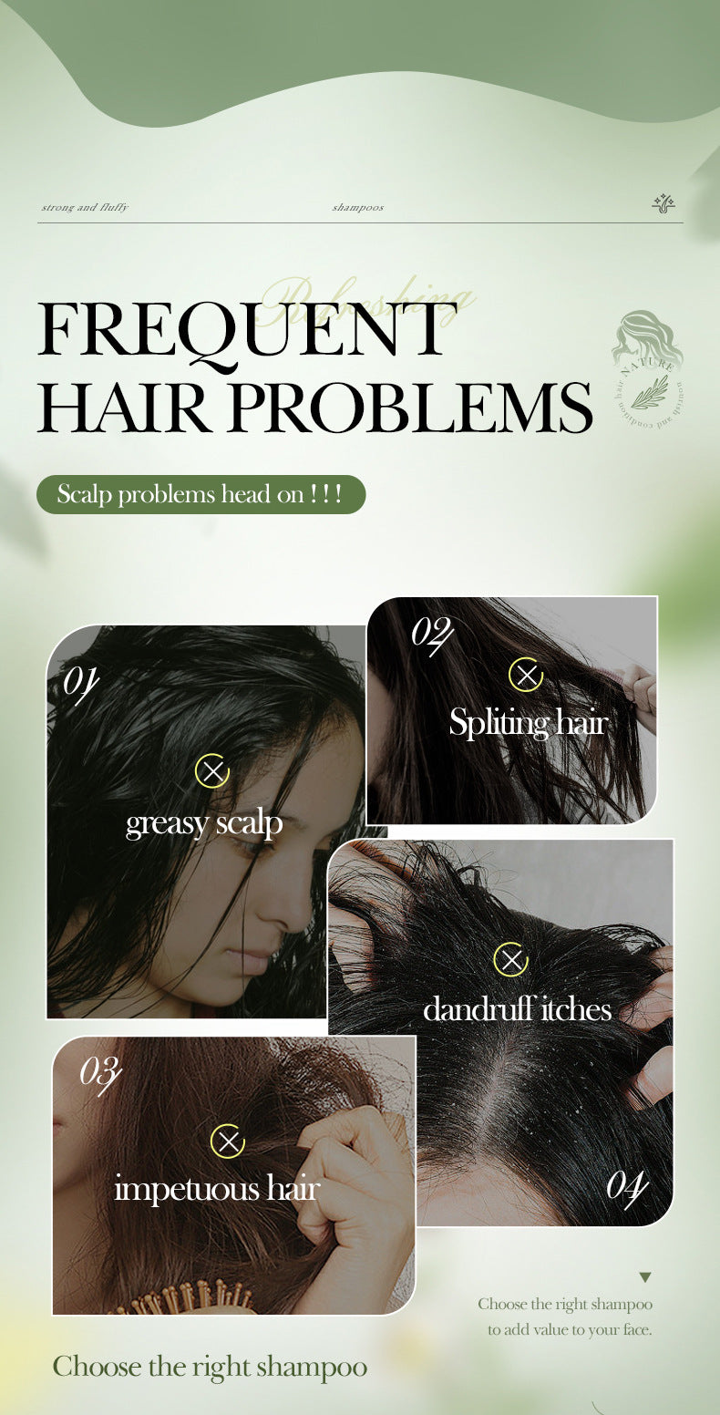 Mint Rosemary Fluffy Shampoo SADOER Strong Shampoo  Wholesale