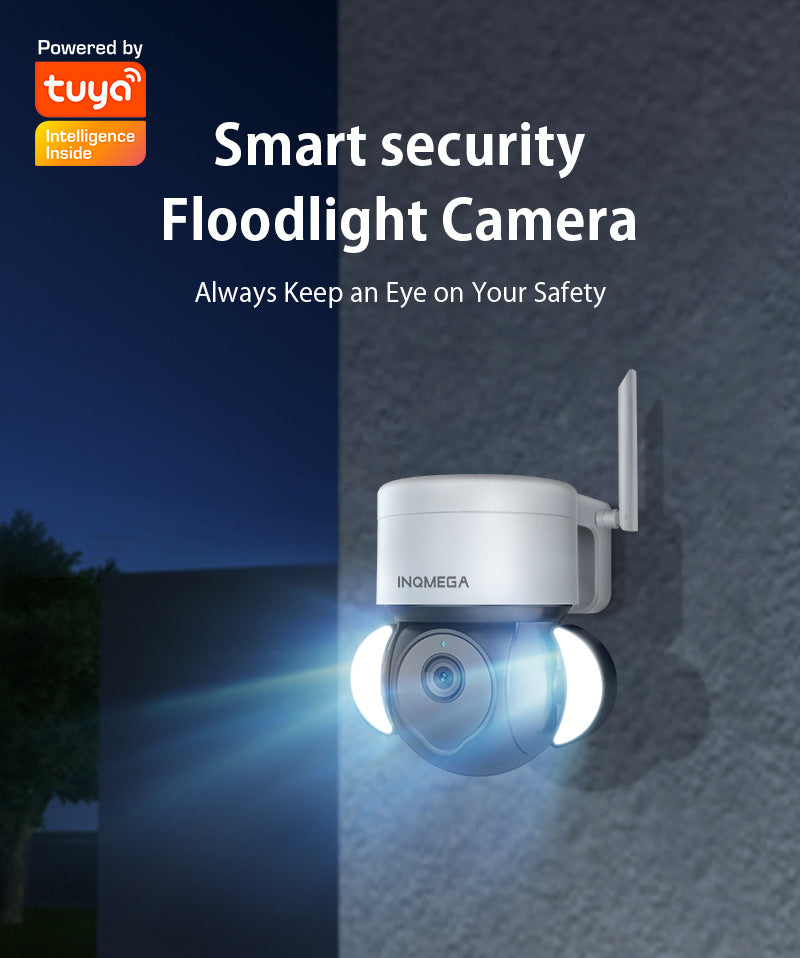 Factory Private Model TUYA Wireless Monitoring WiFi Surveillance Dome Camera HD3MP Graffiti Camera Recorder