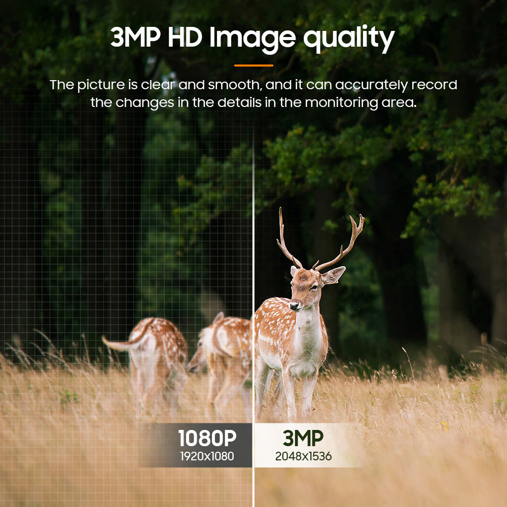 Low Power Consumption4G Animal Testing GPS Positioning Monitoring Dome Camera Outdoor HD Night Vision Solar Camera