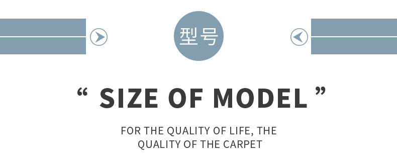 Living Room Carpet Stain-Resistant Easy Care Light Luxury Sofa Coffee Table Rug Home Use All-Season Crystal Velvet Bedside Warm Blanket