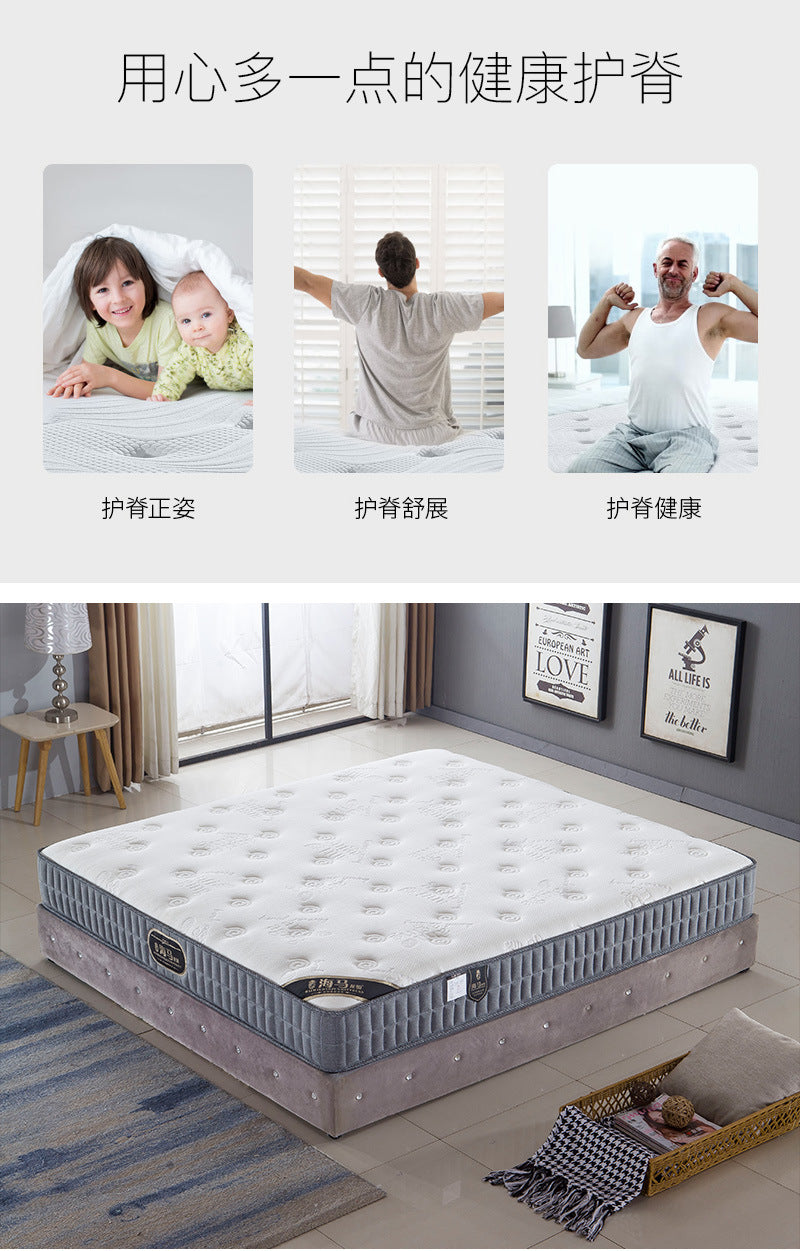 Mattress Simmons Manufacturer Hotel Dormitory Knitted Fabric Sponge Spring1.5Rice1.8Latex Spine Protector