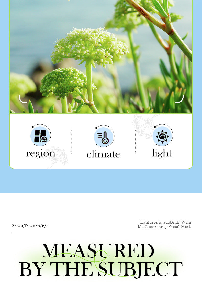 Sea Fennel Hyaluronic Acid Mask25ml  BIOAOUA Hydrating, Moisturizing, and Nourishing Cross-Border Wholesale