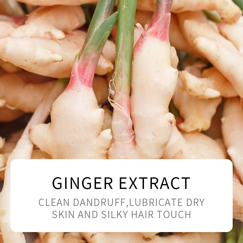 Ginger Hair Mask500g SADOER Moisturizing and Smooth Hair Care  Foreign Trade Live Wholesale