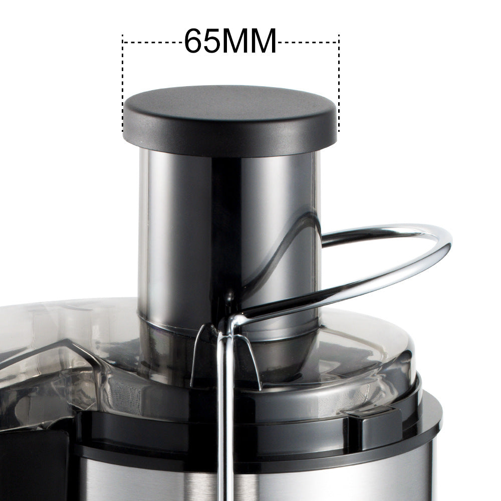 RAF Stainless Steel Juicer Children's Fruit Juice Machine/l Cooking Machine/Juicer Extractor with Juice and Pulp Separation R.2806