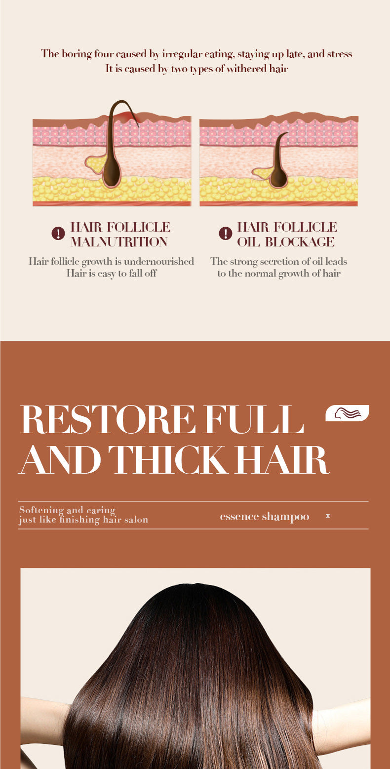 Ginger Anti-Hair Loss Shampoo500ml SADOER Plant Shampoo  Wholesale
