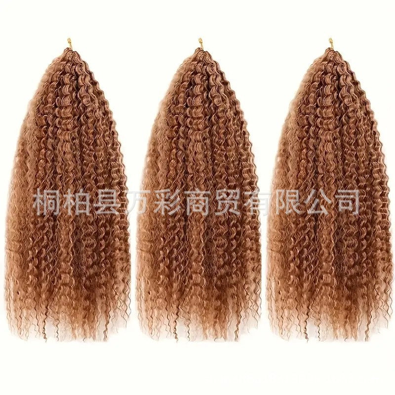 Cross-border Wig Hot Item Afro Kinky Curly       Crochet  Hair High Temperature Silk Crochet Hair