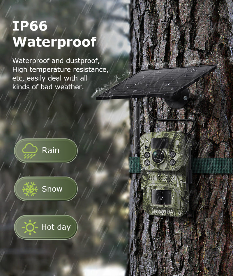 North and South America4G Solar Camera Black Light Full Color Night Vision Outdoor Forest AI Animal Recognition Machine