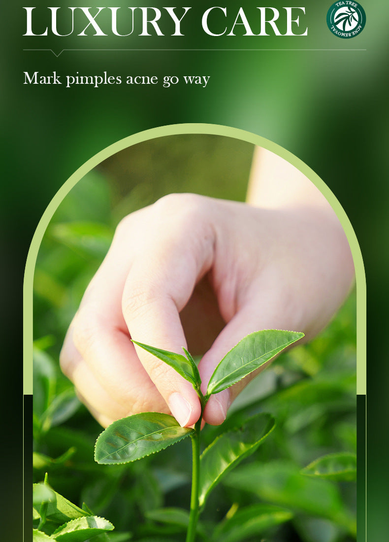 Tea Tree Skincare Set SADOER Cleansing, moisturizing, hydrating five-piece set for  foreign trade wholesale