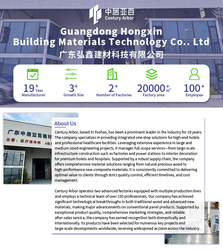 24mm Calcium Silicate Board Class Fireproof Panel for Exterior Usage Hospitals Schools Ceilings Wall Systems CE Certified