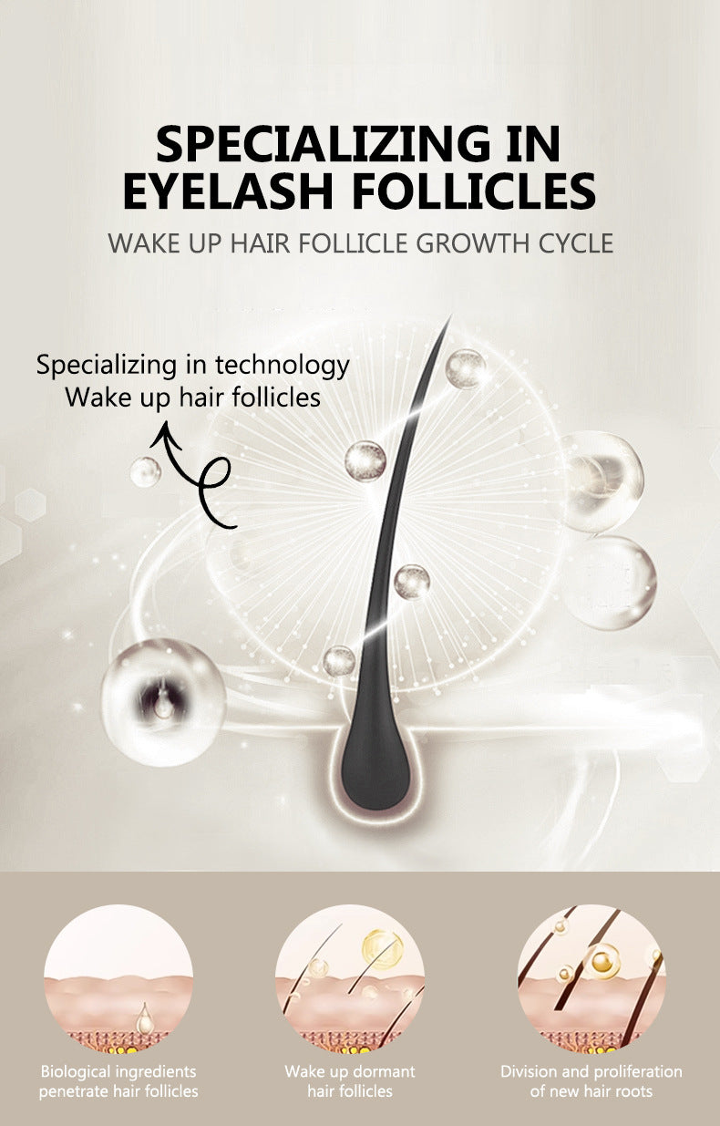 Waterproof, Smudge-proof, Long-lasting Dense Mascara Curling Eye Mascara Wholesale