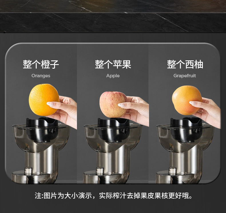 Customized Juicer with Pulp Separator, Small Household Multifunctional Fruit Juicer, Blender
