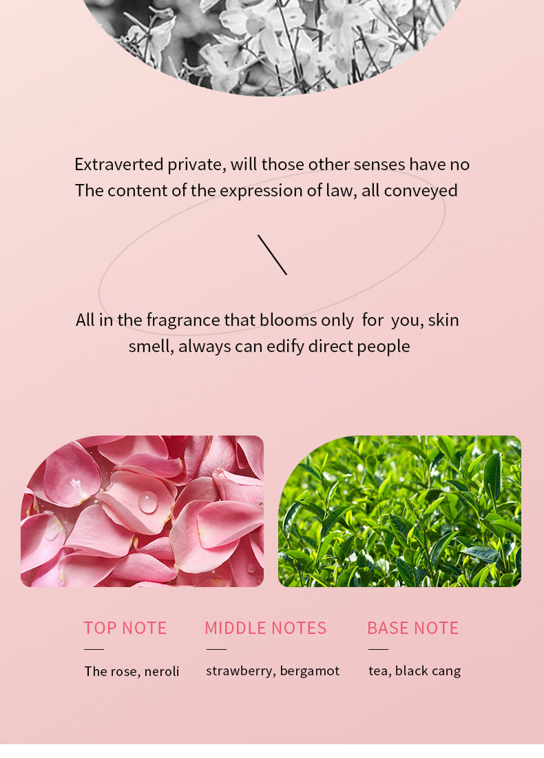 Plant Essence Serum SADOER Aloe Vera Rose Chamomile Hydrating Moisturizing  Foreign Trade Wholesale