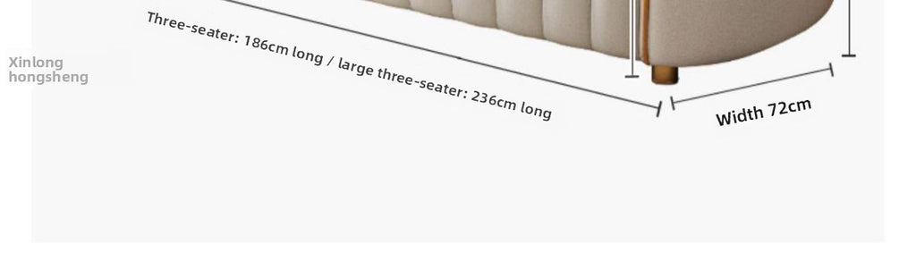 Nordic Light Luxury Tech Fabric High-End Small Apartment Living Room Italian Modern Minimalist Internet Celebrity Style Double Seat Straight Row Sofa