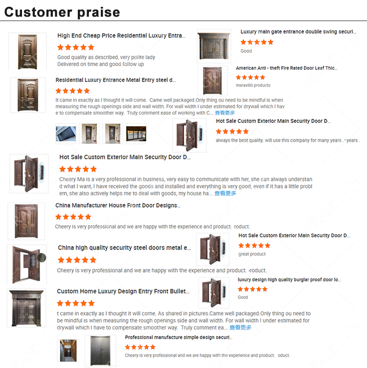 Customized Home Front Exterior Main Entry Steel Security Doors for House