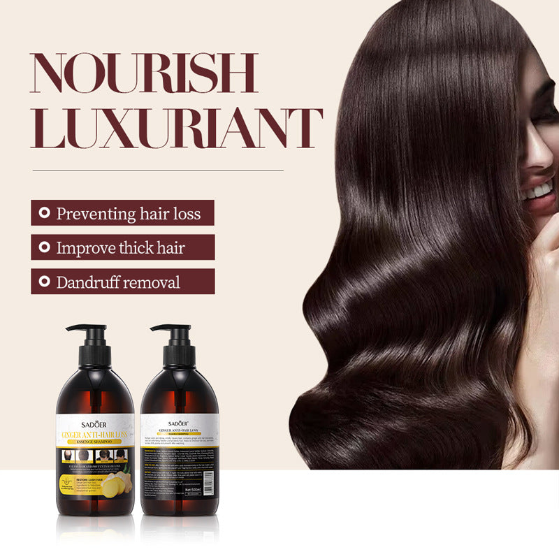 Ginger Anti-Hair Loss Shampoo500ml SADOER Plant Shampoo  Wholesale