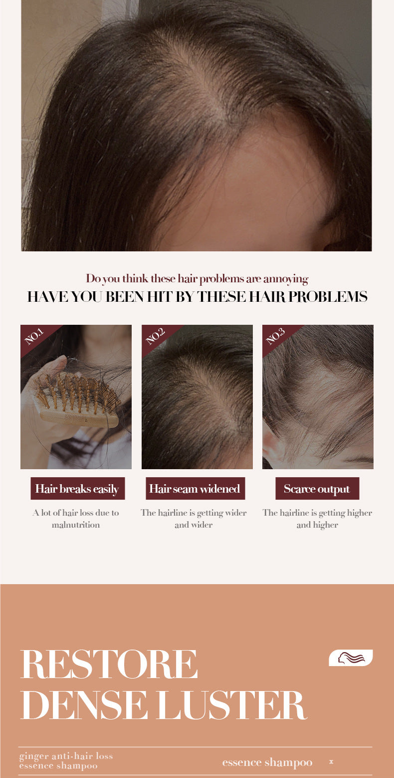 Ginger Anti-Hair Loss Shampoo500ml SADOER Plant Shampoo  Wholesale