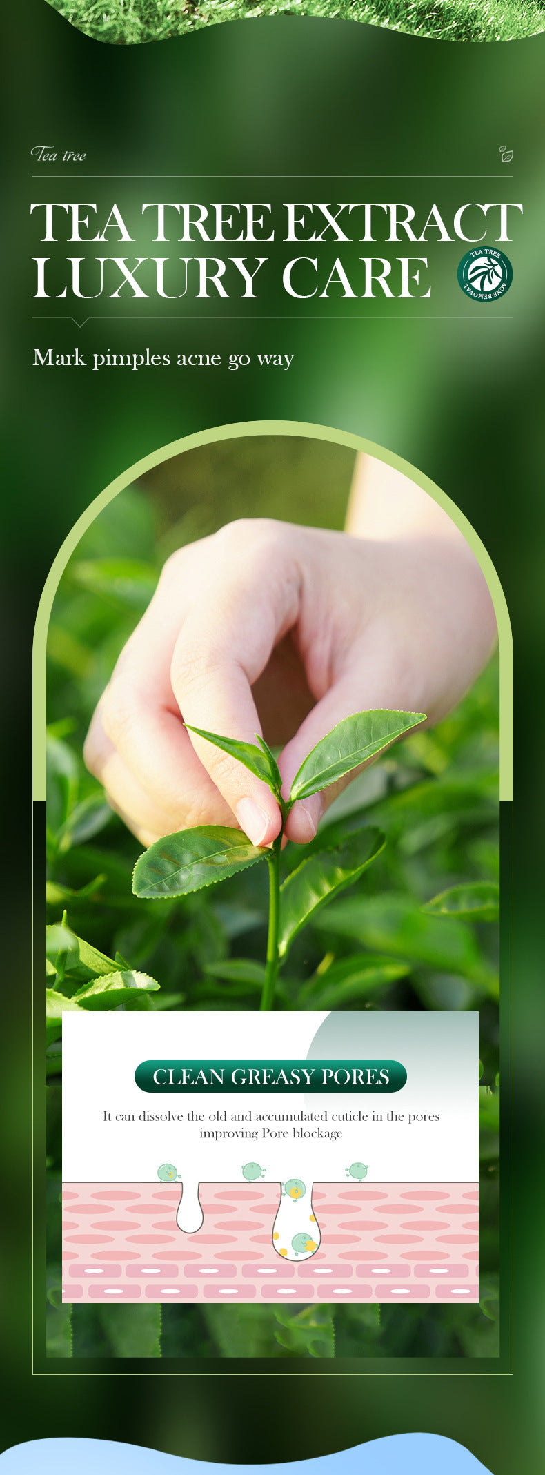 Tea Tree Skincare Set SADOER Cleansing, moisturizing, hydrating five-piece set for  foreign trade wholesale