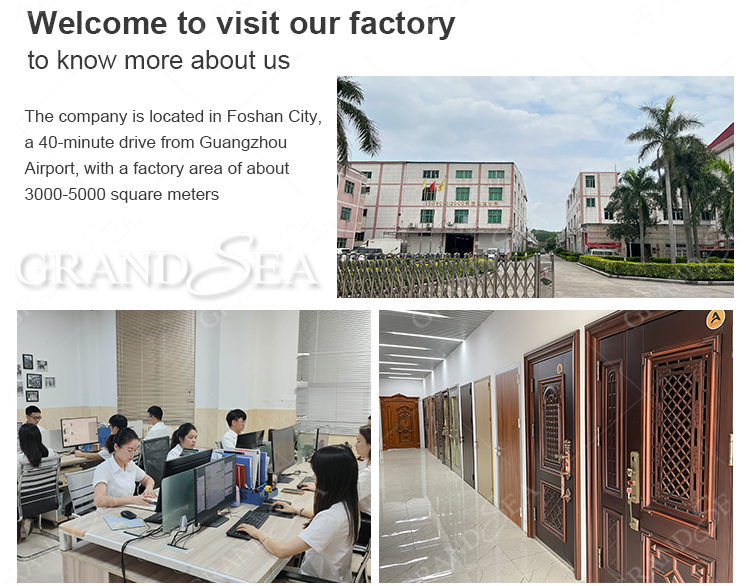 Customized Home Front Exterior Main Entry Steel Security Doors for House