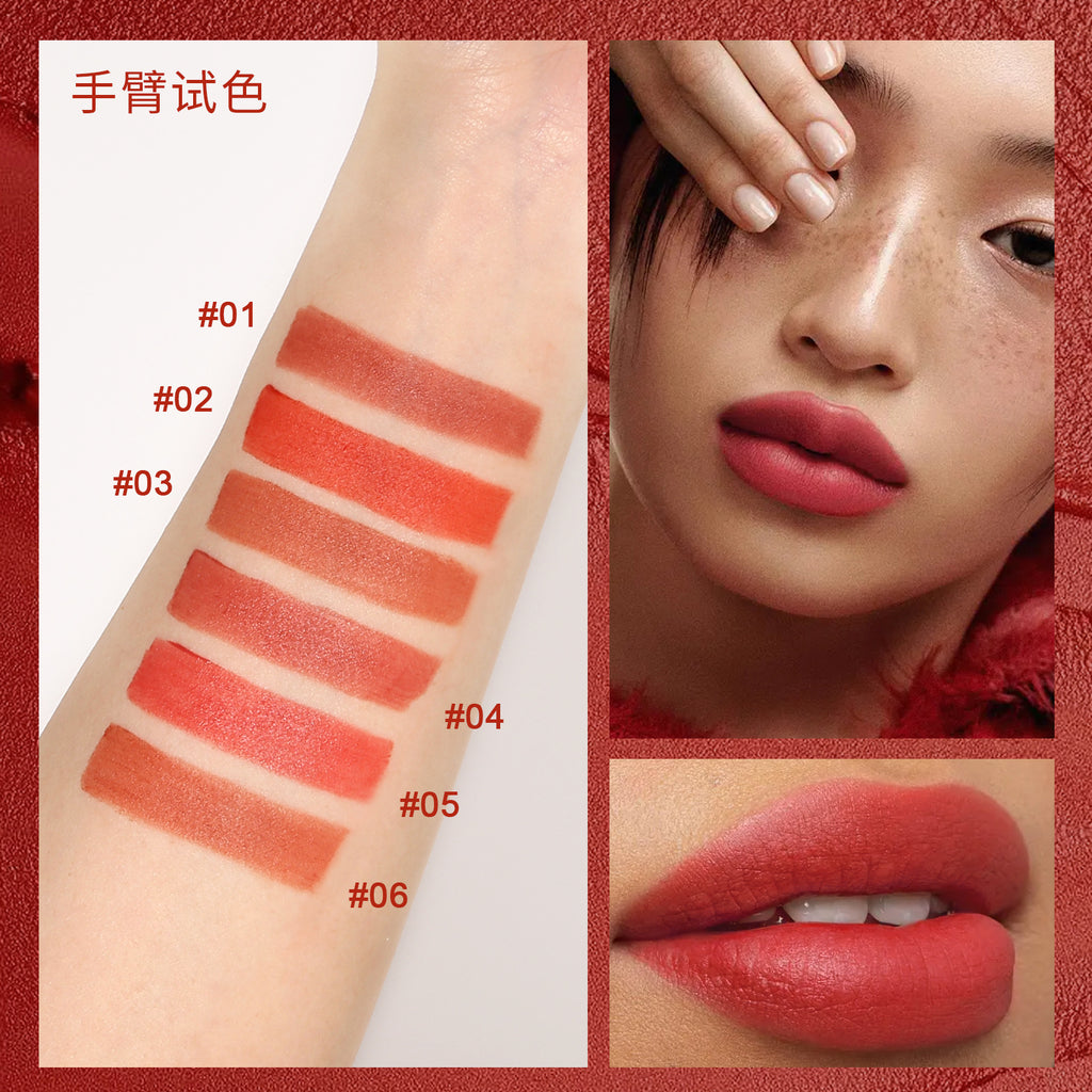 SHELOVES Light Mist Matte Lip Gloss10Color Non-Stick Cup Matte Lip Mud Liquid Lipstick