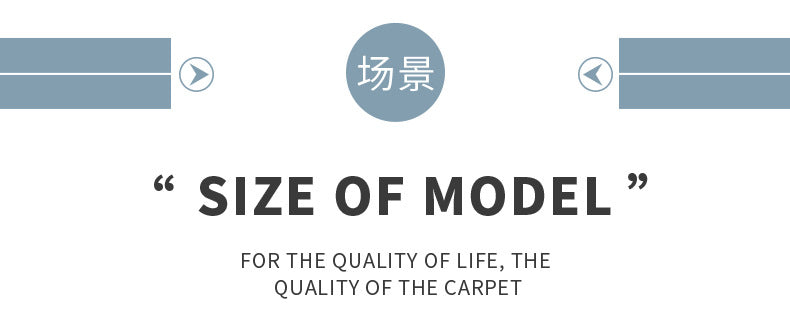 Crystal Velvet Carpet Light Luxury Home Bedroom Non-Slip Wear-Resistant Bedside Blanket Living Room Dirty-Resistant Easy to Care Sofa Coffee Table Blanket