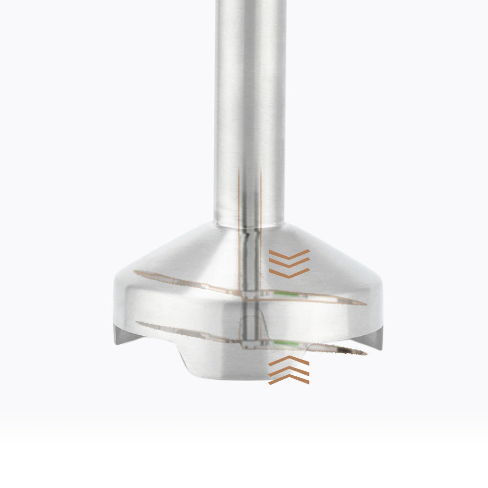 RAF European and American Standard Multifunctional Kitchen Handheld Cooking Stick Baby Food Electric Stirring Stick Milk Juicer Meat Grinder