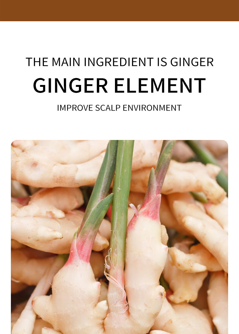 Ginger Hair Mask500g SADOER Moisturizing and Smooth Hair Care  Foreign Trade Live Wholesale