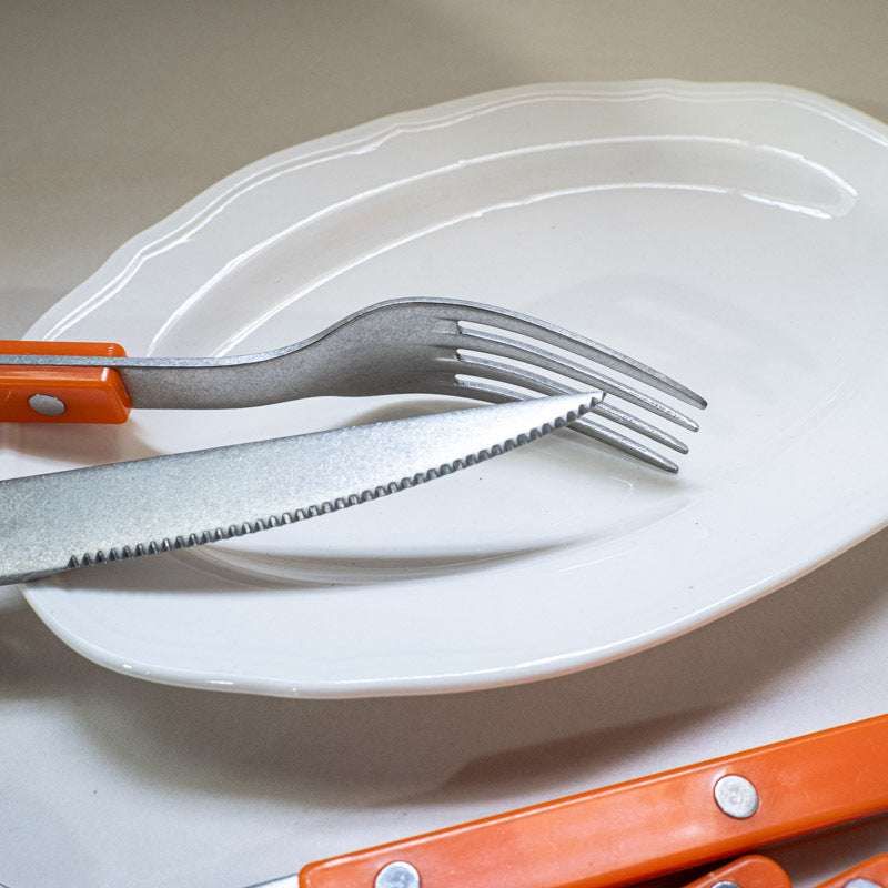 ins Western Dining Tableware ABS Rivet Handle Creative Korean Tableware Clip Handle304Stainless Steel Tableware Snowflake Distressed