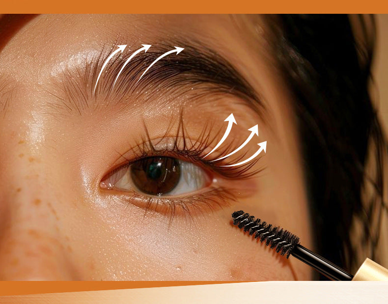 European Dropshipping Double-Ended Mascara Curling Dense Eyebrow Liquid Packaging Makeup Customizable Label