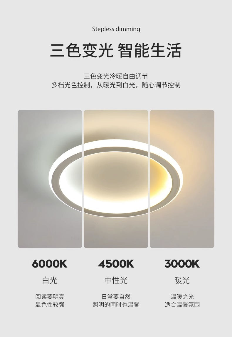 Aisle Light Minimalist Entryway Light Nordic Simple Modern Creative Corridor led Small Ceiling Light for Balcony and Entrance