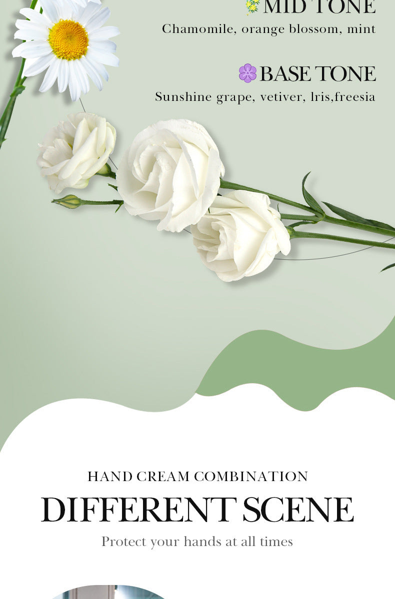 SADOER Fruit Combination Moisturizing Hand Cream Hydrating Autumn and Winter Hand Cream  Foreign Trade Wholesale