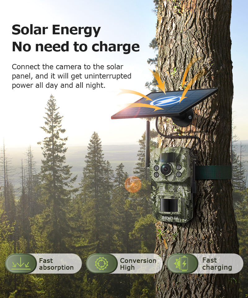 North and South America4G Solar Camera Black Light Full Color Night Vision Outdoor Forest AI Animal Recognition Machine