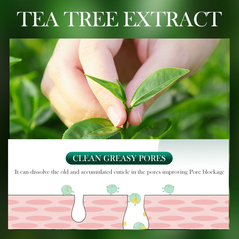 Tea Tree Facial Mask25g SADOER Refreshing Moisturizing Tablets for  Wholesale